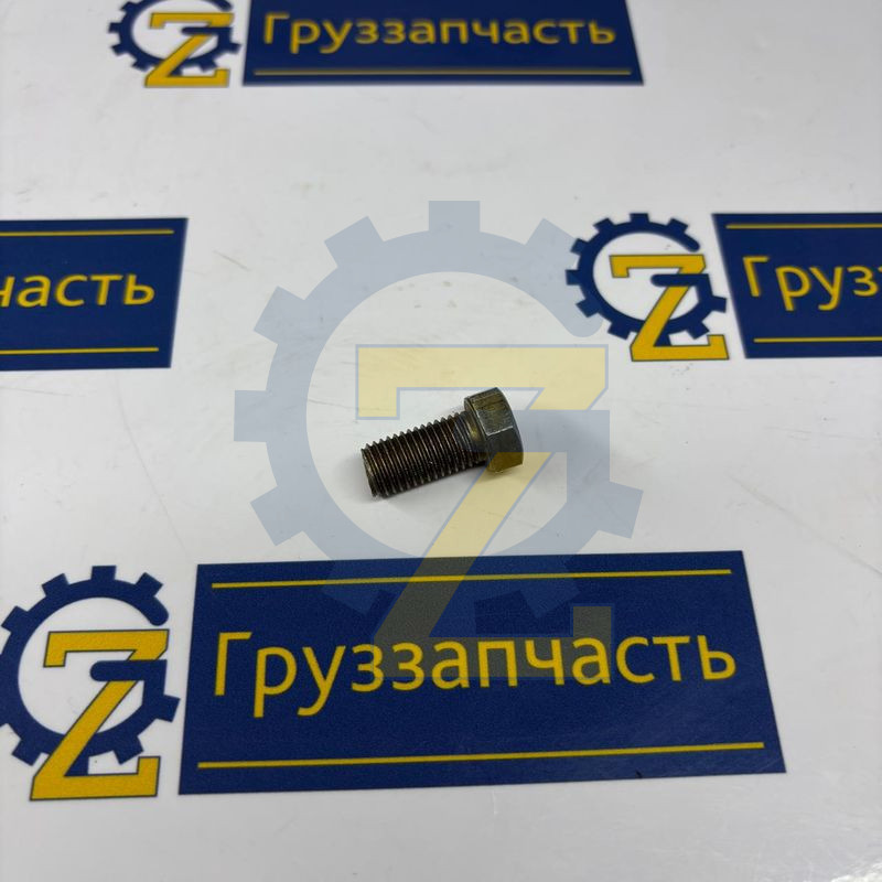 Болт М10х20х1,25